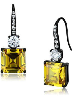 Women Stainless Steel Cubic Zirconia Earrings